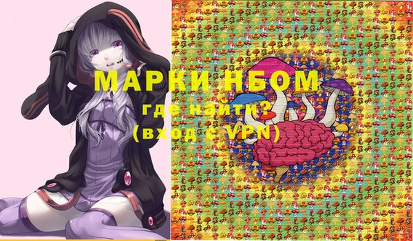 крисы Снежногорск
