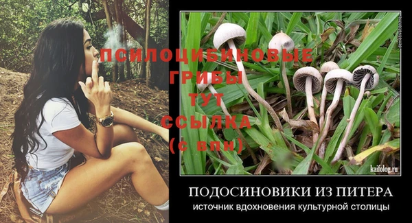 крисы Снежногорск