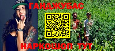 PSILOCYBIN Дубна
